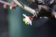 image0141