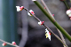 image0142