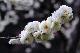 image0143