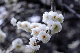 image0144