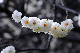 image0145