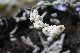 image0146