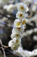 image0149