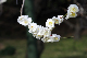 image0150