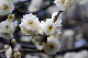 image0153