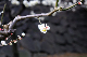 image0159