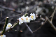 image0163