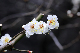 image0164