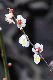 image0167