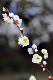 image0171
