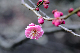image0172