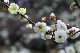 image0174