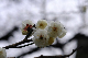 image0175