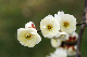 image0177