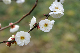 image0179