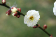 image0180