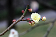 image0181