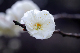 image0182