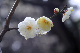 image0183