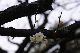 image0187