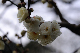 image0190