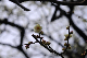 image0191