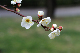 image0193