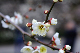 image0194