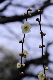 image0197