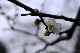 image0198