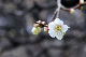 image0199