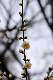image0202