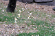 image0208