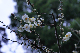image0209