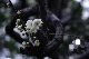image0210