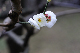 image0211