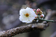 image0212