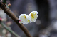 image0213