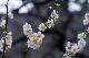 image0217