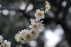 image0219