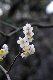image0221