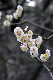 image0222