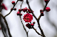 image0229