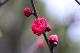 image0230