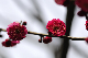 image0231