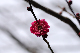 image0232