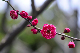 image0233
