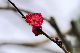 image0234