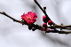 image0235
