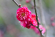 image0236